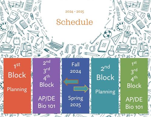 Fall 2024 and Spring 2025 Class Schedule